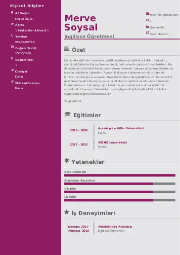 Yabancı Dil Öğretmeni Cv Örnekleri cv indir